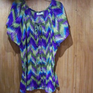 Cato Blouse  22/24 W